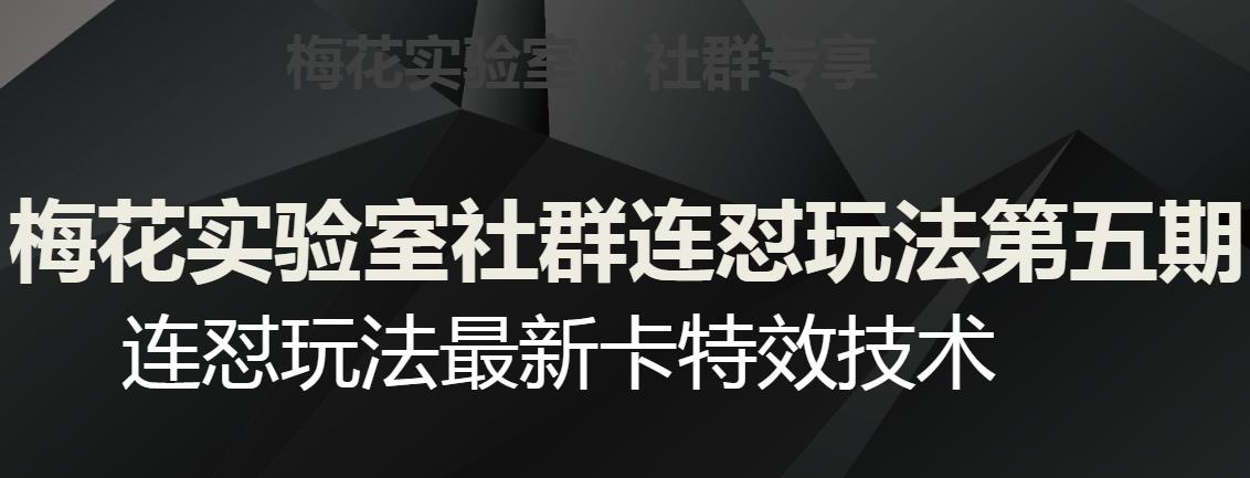 梅花实验室社群连怼玩法第五期，视频号连怼玩法最新卡特效技术-秦汉日记