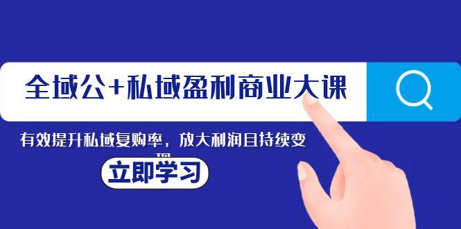 全域营销：私域盈利的商业新课，持续变现利润，提高复购率-秦汉日记