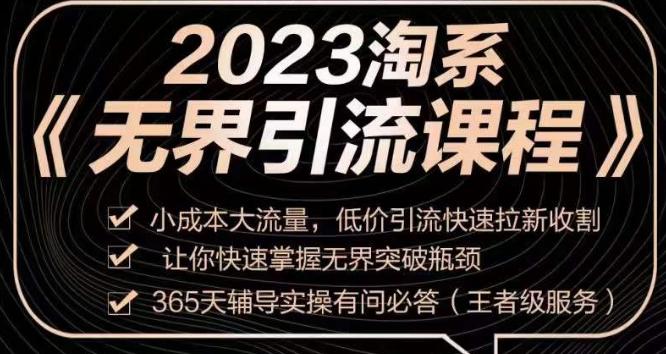 2023淘系无界引流实操课程：轻松引爆销量，成本低流量大！-秦汉日记