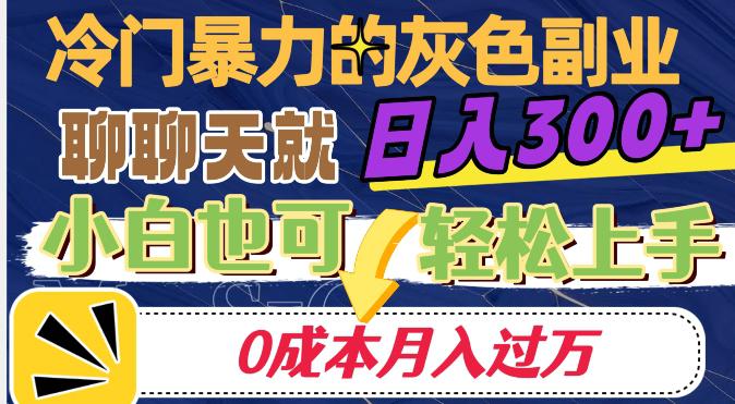 冷门暴利的副业项目，聊聊天就能日入300+，0成本月入过万【揭秘】-秦汉日记