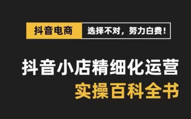 精选高利润产品，解决电商运营难题，保姆级实战讲解（28节课）-秦汉日记