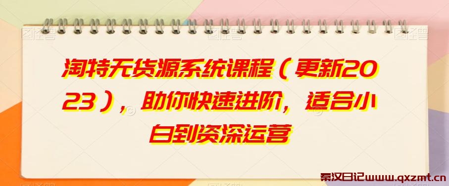 淘特无货源系统课程（2023更新），打造你的互联网运营新起点！-秦汉日记