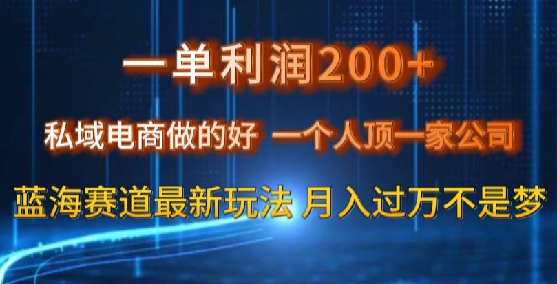 一单利润200私域电商做的好，一个人顶一家公司蓝海赛道最新玩法-秦汉日记