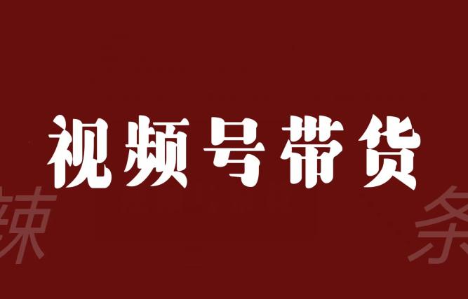 视频号带货联盟，赚信息差的带货钱，只要有手机随时随地都可以做-秦汉日记