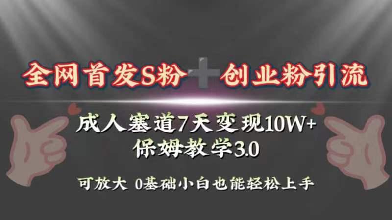 暴力引流玩法揭秘！7天成人赛道10W+变现，轻松上手！保姆3.0-秦汉日记