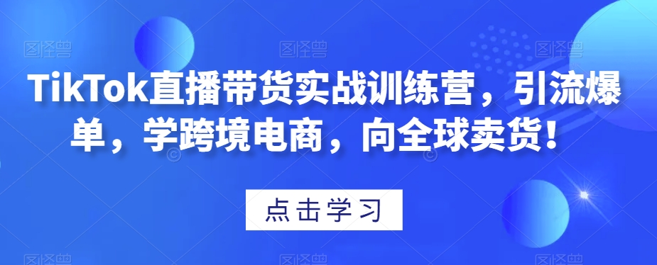 TikTok直播带货，学跨境电商，引爆全球卖货！实战训练营-秦汉日记