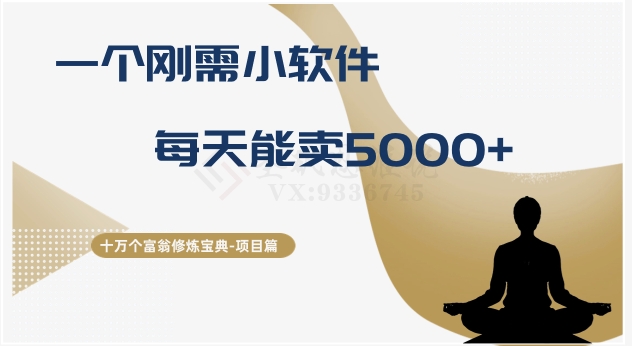 十万个富翁修炼宝典之17.一个刚需小软件，每天能卖5000+-秦汉日记