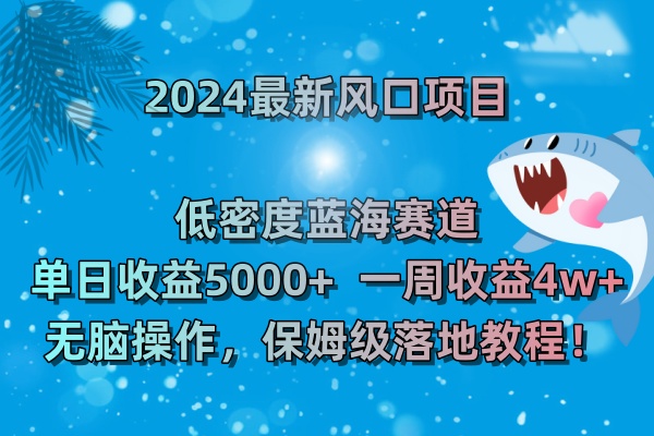 2024新风口项目 低密度蓝海赛道，日收益5000+周收益4w+无脑操作-秦汉日记