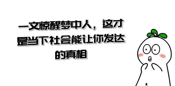 付费文章《一文 惊醒梦中人，这才是当下社会能让你发达的真相》-秦汉日记