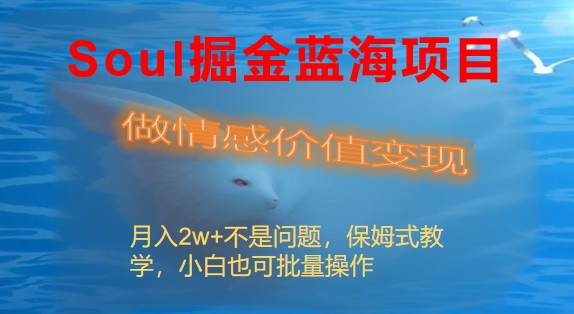 Soul掘金蓝海项目细分赛道，做情感价值变现，月盈利2w+不是问题-秦汉日记