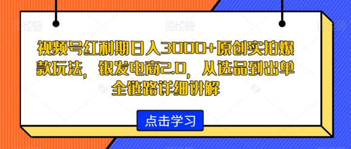 视频号红利期原创实拍爆款玩法，银发电商2.0，日入3000+-秦汉日记