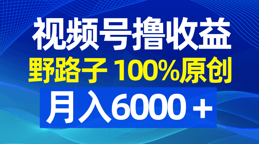 视频号野路子玩法，撸收益，100%原创，条条爆款，月入6000＋-秦汉日记