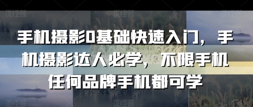 手机摄影0基础快速入门，手机摄影达人必学，不限手机都可学-秦汉日记