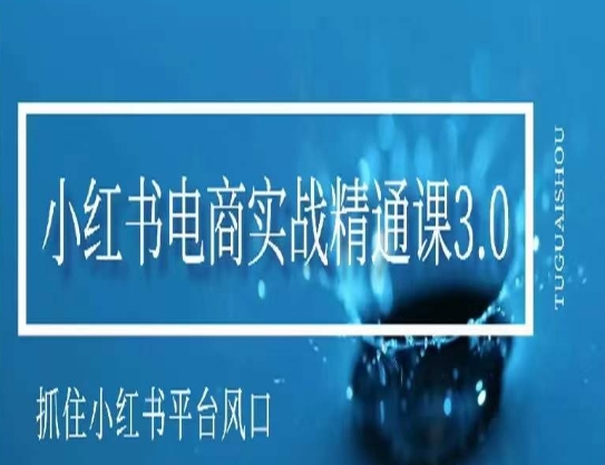 小红书电商实战课，抓住小红书平台风口，不错过有一个赚钱的机会-秦汉日记