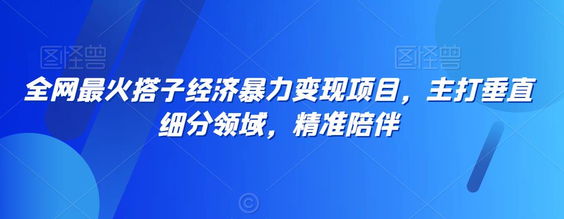 全网最火搭子经济暴力变现项目，主打垂直细分领域，精准陪伴-秦汉日记