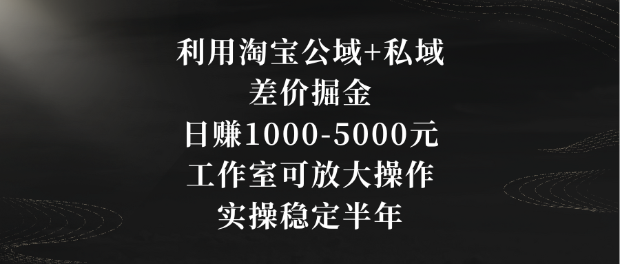 利用淘宝公域+私域差价掘金：日赚1000-5000元，工作室可放大操作-秦汉日记