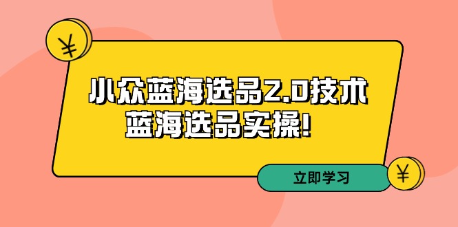 拼多多开店培训第33期：小众蓝海选品2.0技术-蓝海选品运营实操！-秦汉日记