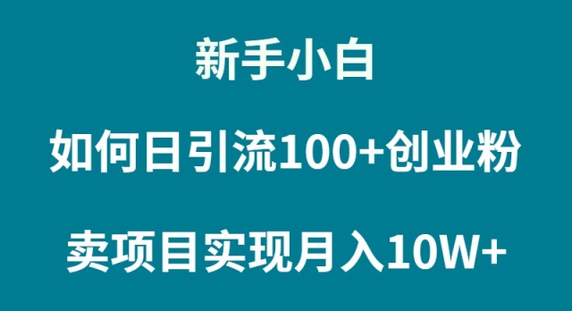 普通人小白如何通过卖项目实现月入10W+-秦汉日记