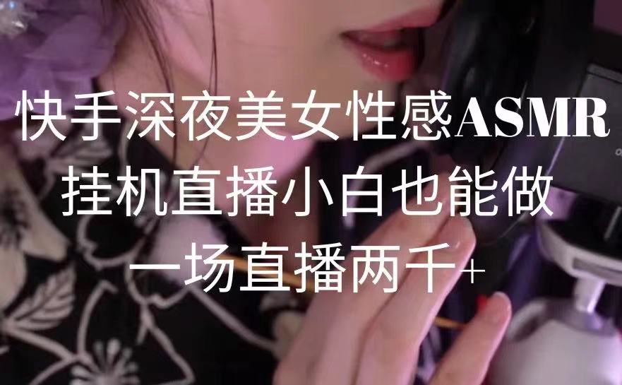 快手深夜美女狐媚ASMR挂机直播，小白也能做，一场直播两千+-秦汉日记