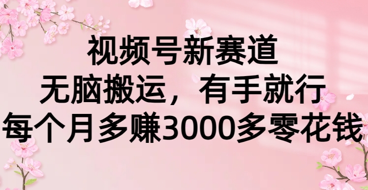 视频号新赛道，无脑搬运，有手就行，每个月多赚3000多零花钱-秦汉日记