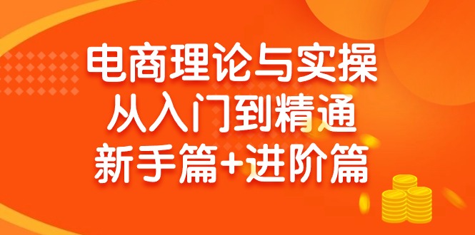 电商理论与实操从入门到精通：抖店+淘系+多多，新手篇+进阶篇-秦汉日记