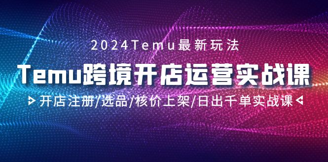 2024Temu跨境开店运营实战教程，开店注册/选品/上架/日出千单-秦汉日记