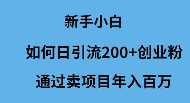 新手小白怎么样日引流200+创业粉通过卖项目年入百万-秦汉日记