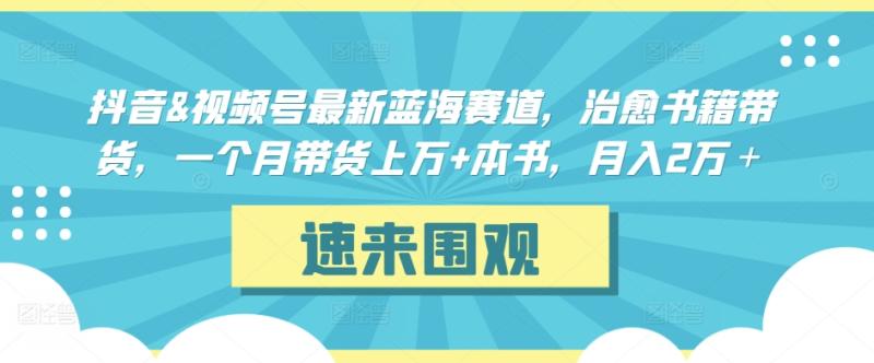 抖音&视频号最新蓝海赛道，治愈书籍带货，一个月带货上万+本书-秦汉日记