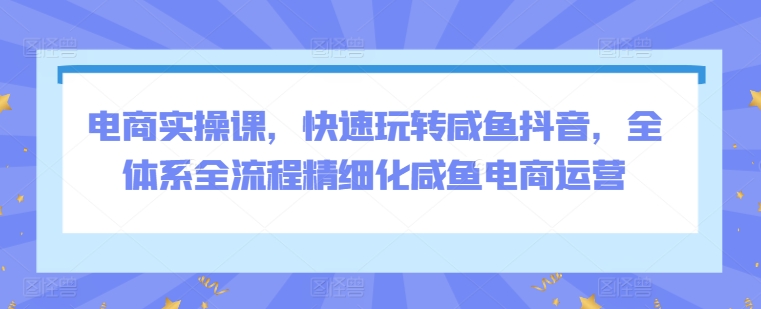 电商实操课，快速玩转咸鱼抖音，全体系全流程精细化咸鱼电商运营-秦汉日记