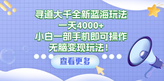 寻道大千全新蓝海玩法，一天4000+，一部手机即可操作，无脑变现-秦汉日记