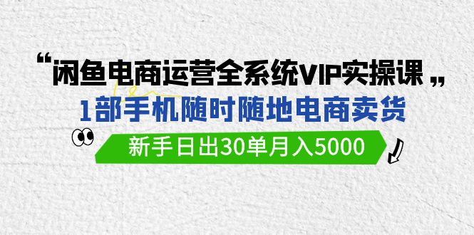 闲鱼电商运营全VIP实战课，1部手机卖货，新手日出30单月入5000-秦汉日记