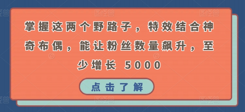 掌握这野路子，特效结合神奇布偶，粉丝数量飙升，至少增长 5000-秦汉日记