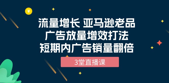 流量增长课程：亚马逊老品广告放量增效打法，短期内广告销量翻倍-秦汉日记