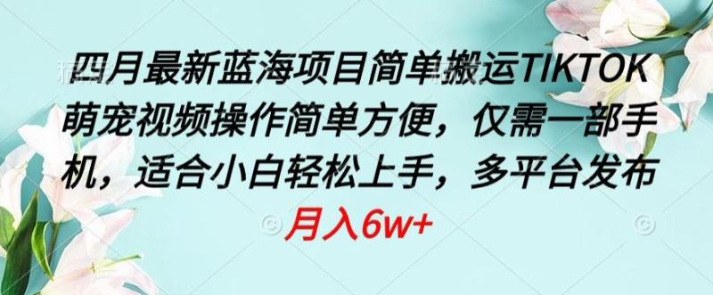 2024蓝海项目，搬运TIKTOK萌宠视频，操作简单方便，仅需一部手机-秦汉日记