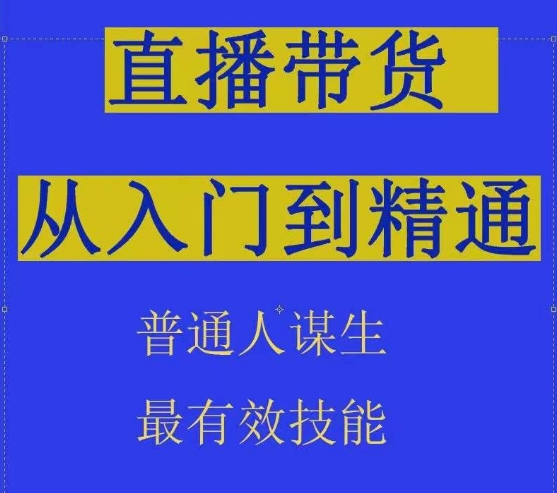 2024抖音直播带货技术：直播间拆解抖运营从入门到精通-秦汉日记