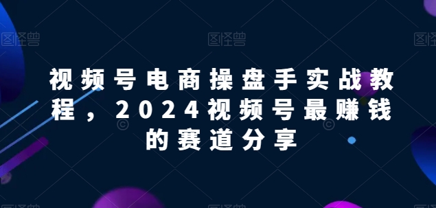 2024视频号电商掘金指南解锁电商盈利密码，实战教程助领先赛道-秦汉日记