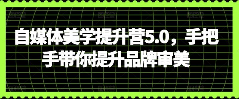 自媒体美学提升训练营5.0，手把手带你提升品牌审美-秦汉日记