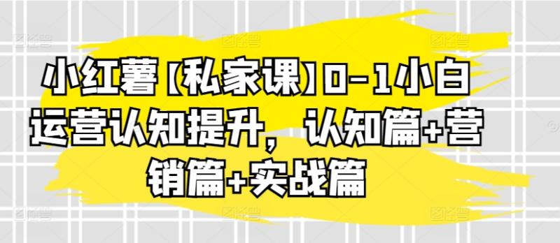 小红薯私家精品课：0-1小白运营认知提升，认知篇 营销篇 实战篇-秦汉日记