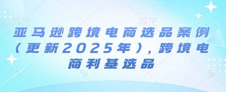 2025年亚马逊跨境电商利基选品新案例解析-秦汉日记