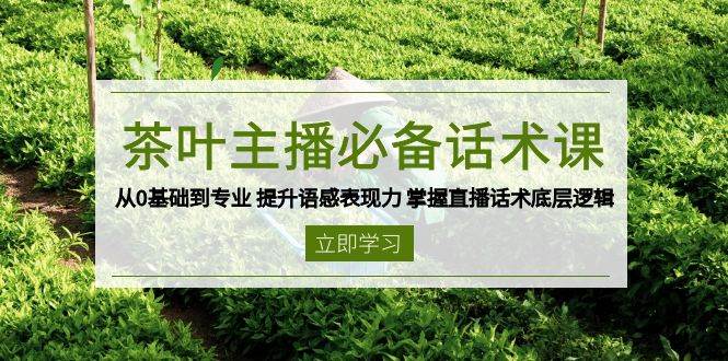 从零起步 茶叶主播话术精通课