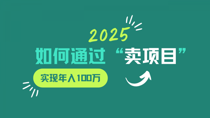 2025年 巧卖项目 年入百万不是梦-秦汉日记