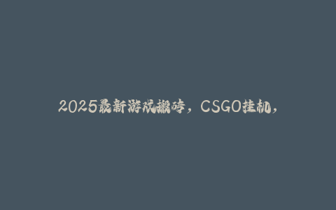2025最新游戏搬砖，CSGO挂机，不需要玩游戏，实现真挂机，月入1W+-秦汉日记