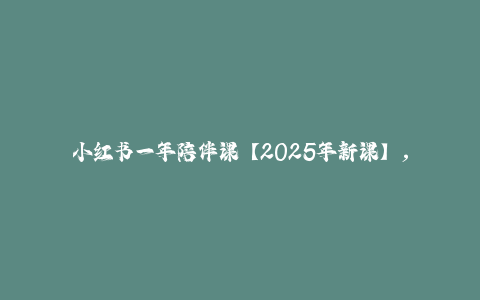 小红书一年陪伴课【2025年新课】，用短视频+deepSeek打爆款，史上最干货的小红书店铺爆款课程-秦汉日记