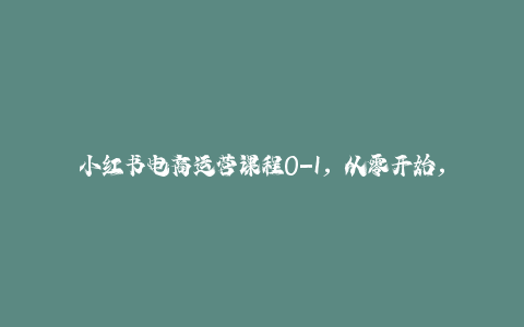 小红书电商运营课程0-1，从零开始，简单易学-秦汉日记
